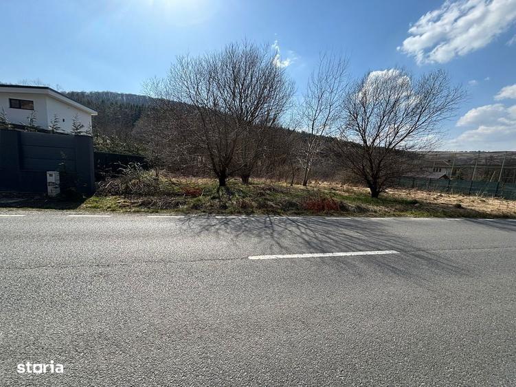 Teren Faget/ investitie - 3