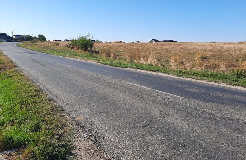 Teren intravilan 33.496 mp, Com. Bradu (fosta Com. Albota), Arges - 1