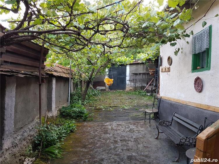 Vand casa de vacan?a Farliug - 8