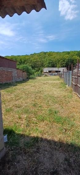 Casă cu potențial excepțional în Budeasa – la 10 minute de Pitești - 3