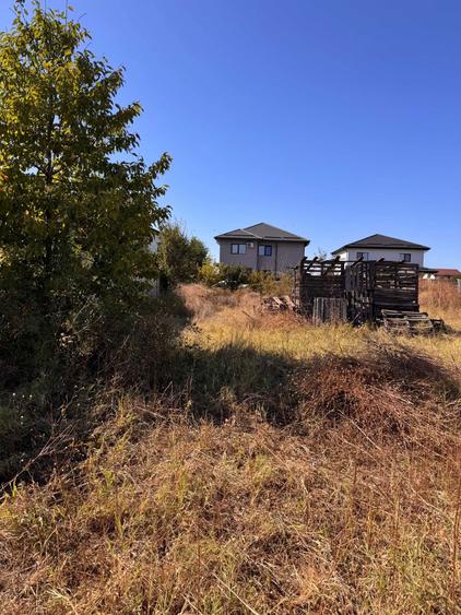 Teren 561mp Comuna Berceni, zona Mamina. - 5