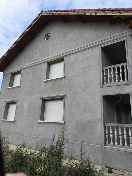 Cervenia, Teleorman - 11