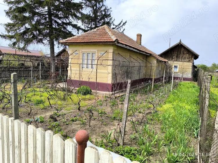 Vand teren 1900mp cu casa batraneasca locuibila - 8
