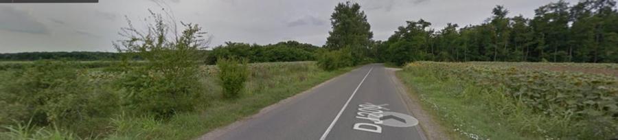 Vanzare teren Moara Vlasiei - Padurea Branzeasca, DJ200 - 1