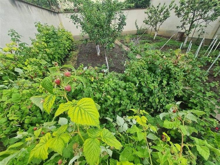 LIVE! Casa cu vatra traditionala, curte si gradina garaj, facilitati, Codlea, Br - 35