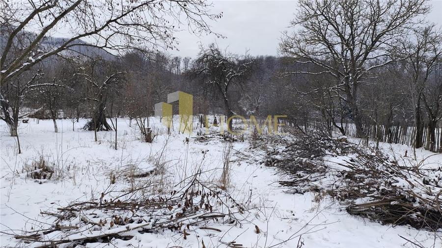 Teren 3310 mp + Casa Batraneasca Bobolia - 9