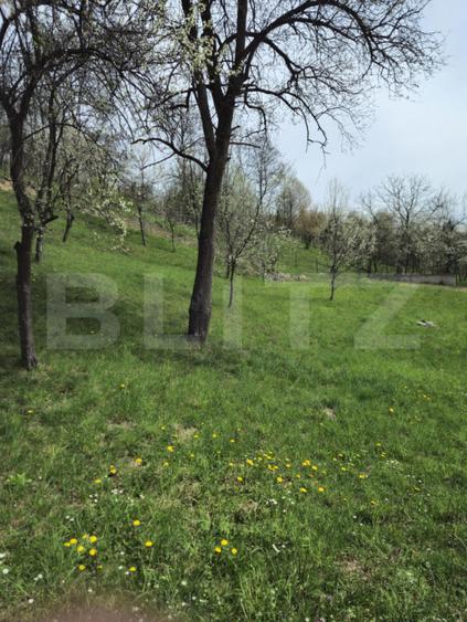 Vila Panoramica Runcu - 6