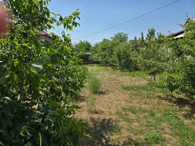 Vand teren intravilan in centrul Orasului Buzias strada Republicii cu toate utilitatile