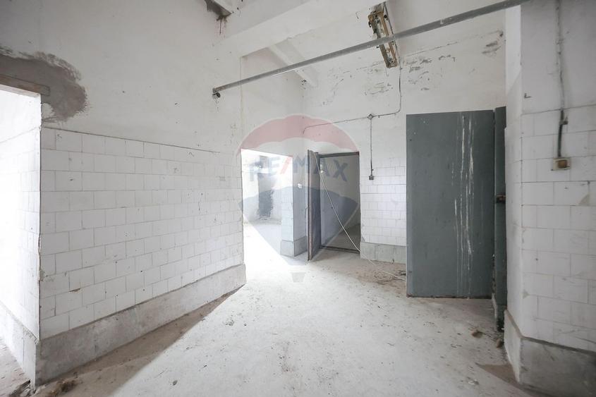 Teren 5674mp si constructii de vanzare, Tilecus - 12