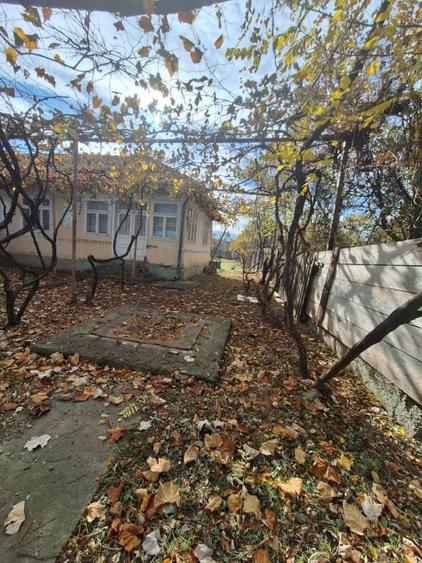 Casa batraneasca de vanzare – Comanesti, cartier Straja  la  5 minute de oras - 2