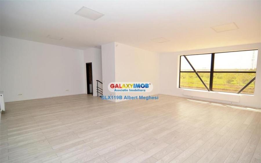 Hala 590 mp Chitila Rudeni- centura - 5