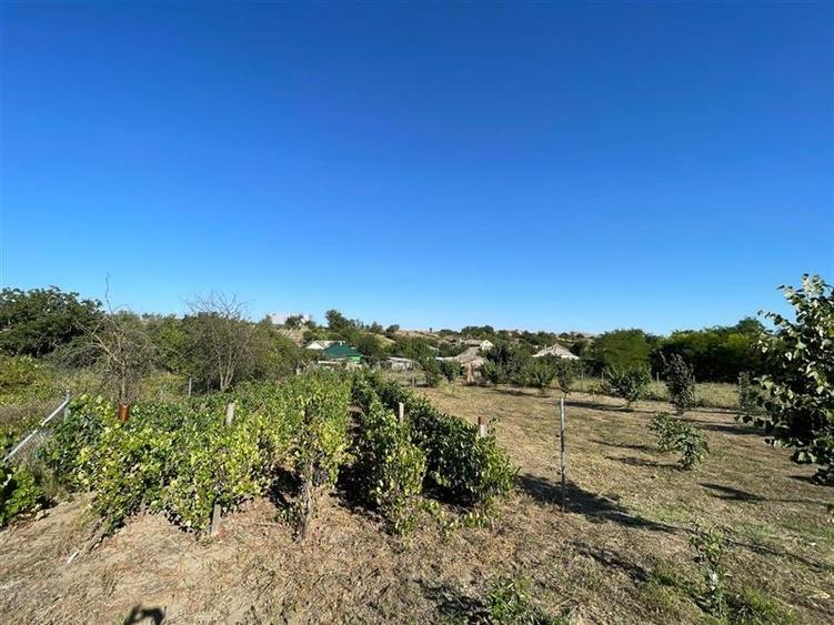 Teren de vanzare in localitatea Cataloi Tulcea - 6