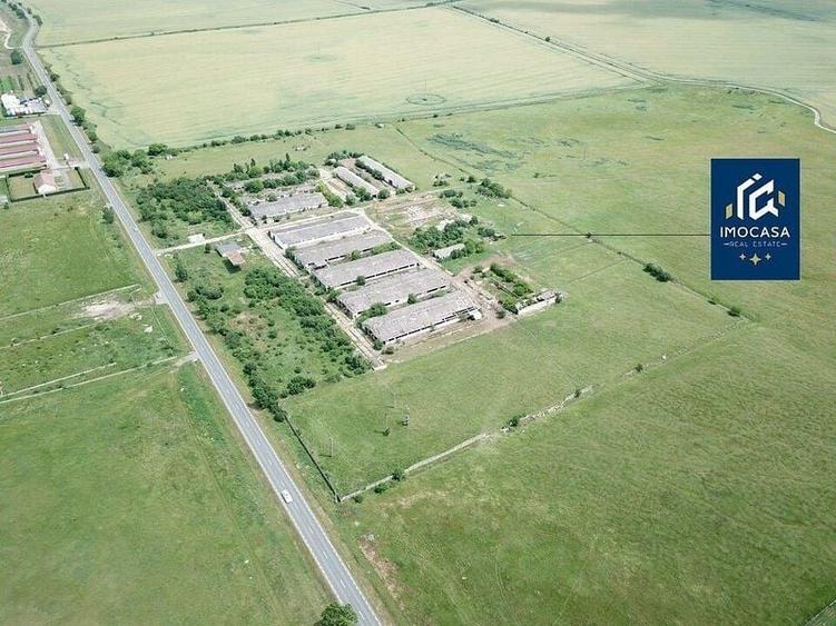 Hale depozitare, grajd, Curte betonata, Horia Jud. Arad - 2