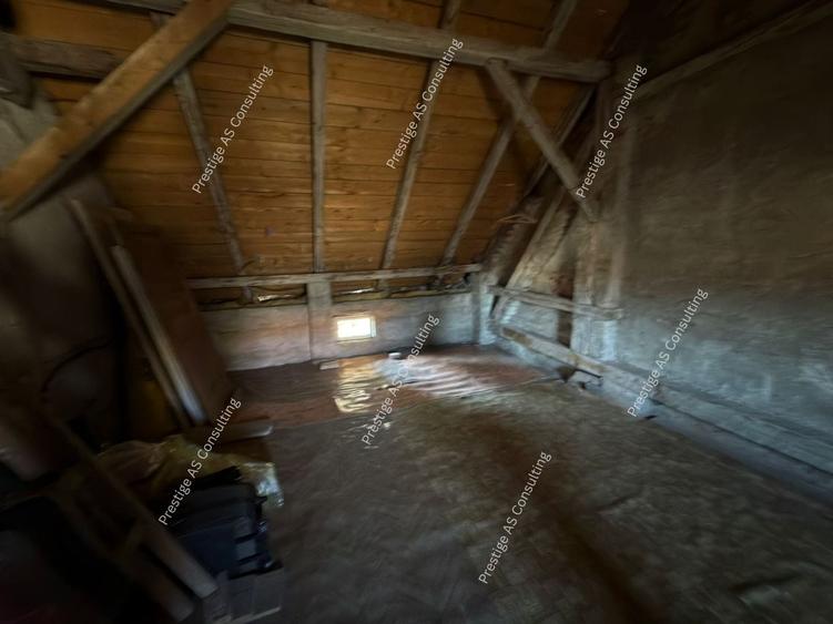 Casa individuala 2 apartamente | 310 mp utili |  clinica / birouri Elisabetin - 14