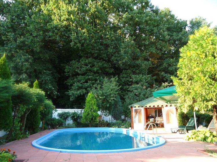 Vila piscina superba gradina matura cu iesire directa la padure - 6