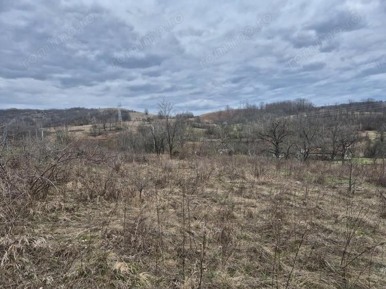 Vand teren Intrare spre Iabalcea - 6