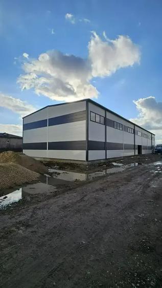 Hale Noi De Inchiriat | Chitila | Iesire direct In Centura - 2