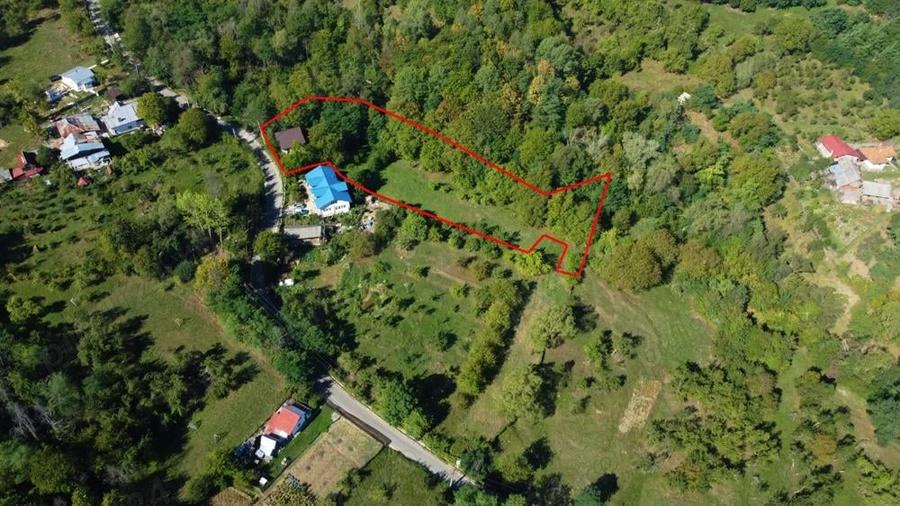 Casa la ro?u + 4391 mp teren de vanzare in comuna Valea Danului, sat Borobane?ti, jude? Arge?. - 10