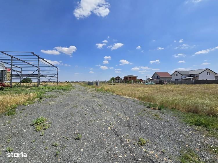 Teren intravilan 564 mp Zimandcuz - 2