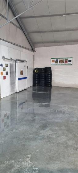 Hala 300mp+Depozit frigorific - 1