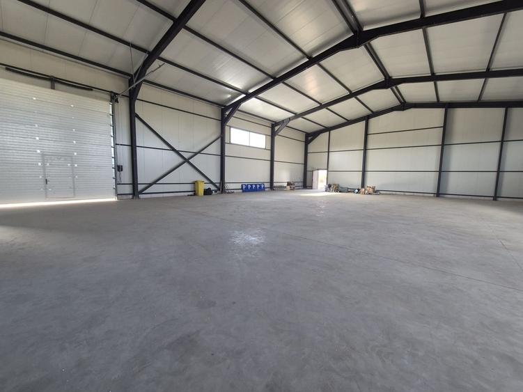 Parc Logistic Nou 2025 – Hale de Vanzare de 600 mp în Chitila-Rudeni - 9