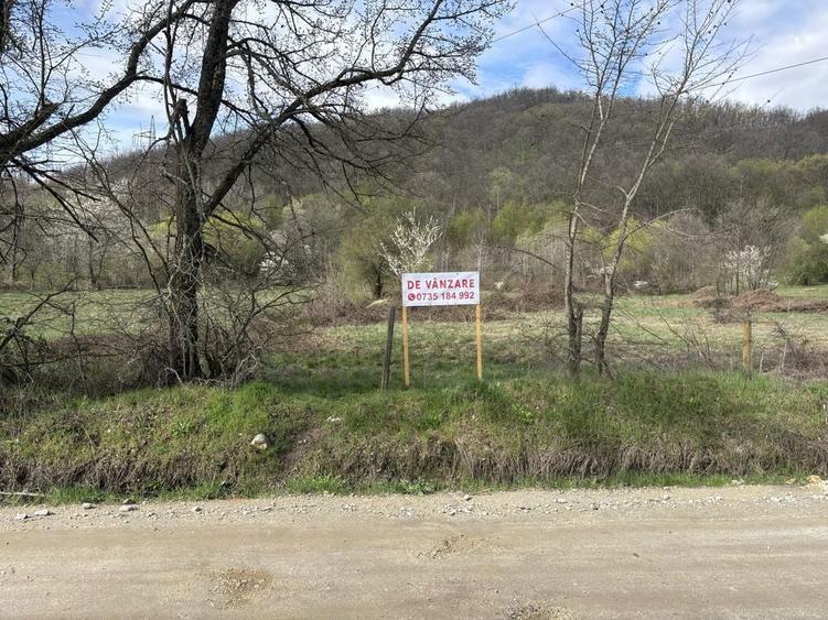 Parcele de teren intravilan in localitatea Eselnita, strada Aninilor - 5