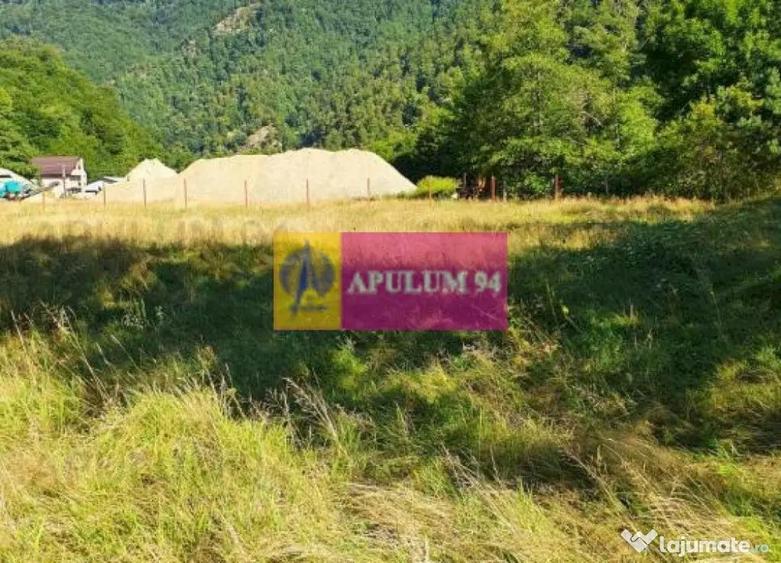 Teren Jude?ul Valcea - Brezoi, Valea lui Stan - 13