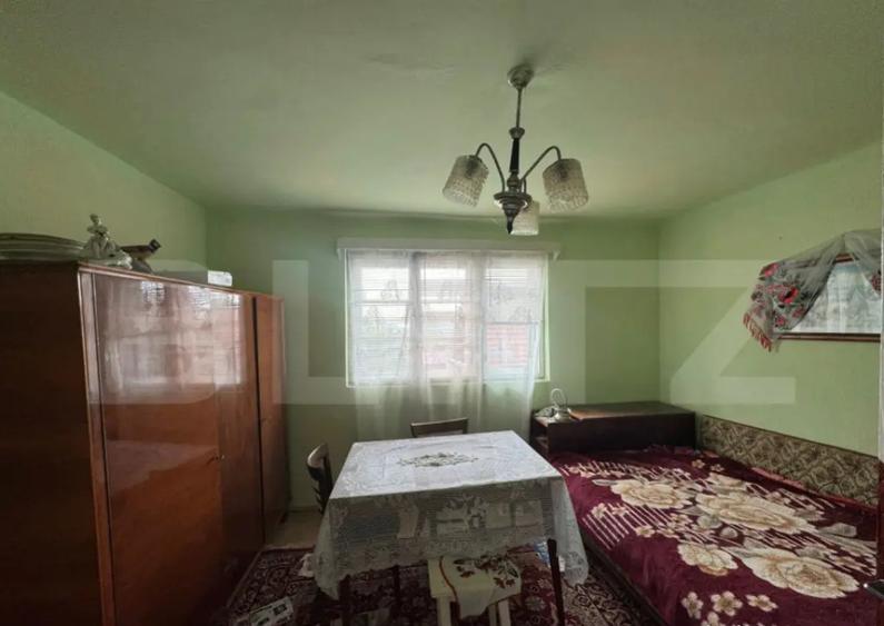 Casa cu 2 camere 50 mp si 836 mp teren, in Magura - 8