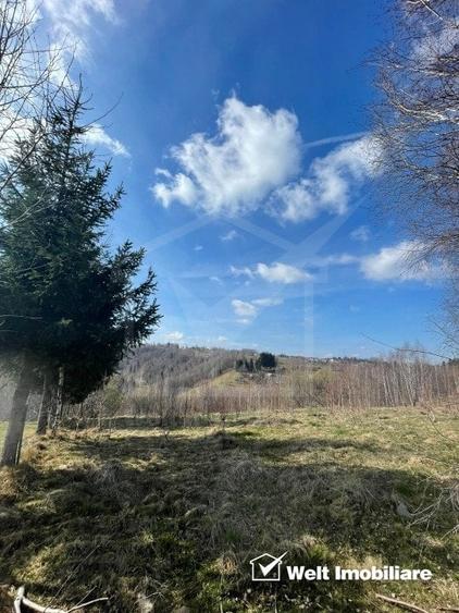 Teren cu panorama pentru cabana, Risca, Valea Fericirii - 5
