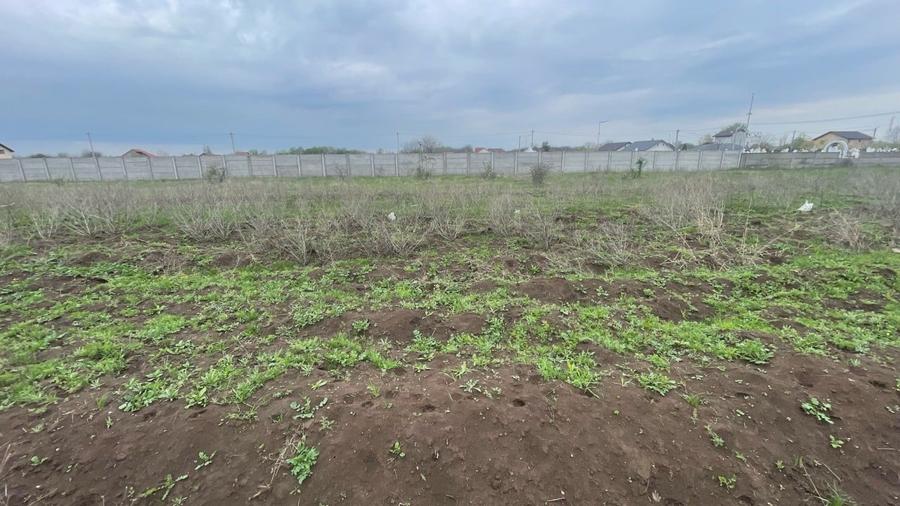 REL4001112 Teren I De Vanzare I Clinceni - 5