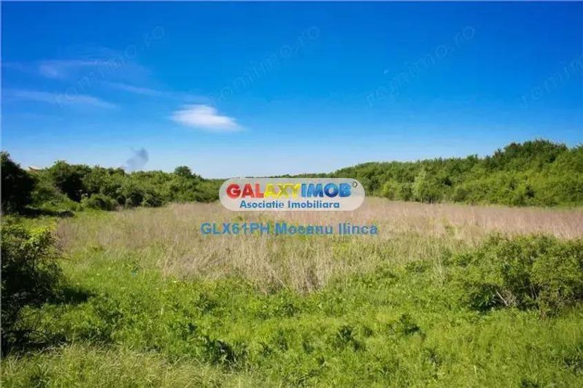 Vanzare teren 60000 mp, in Plopu, la 10 km de Ploiesti - 2
