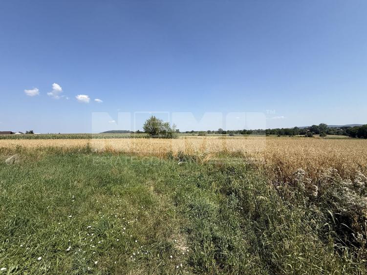Teren Construcții intravilan de 7719 mp, în Horodnic de Sus