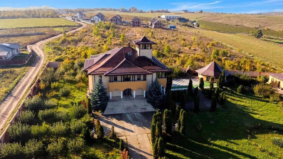Casă individuală cu 10 camere cu Piscina în Vișani