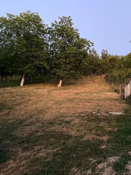 Casă cu Teren 1855 Mp în Cozia