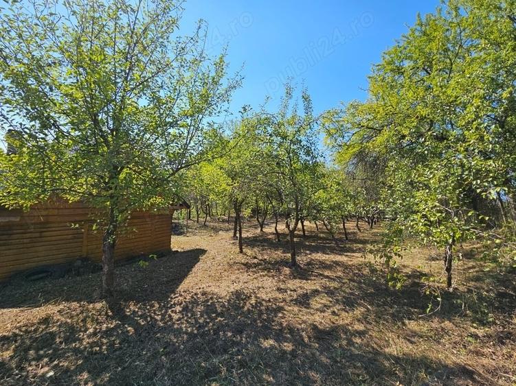 Teren de 1512 mp, în Fedeleșoiu