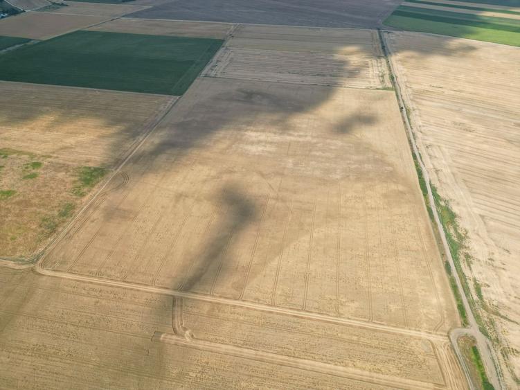 AFACERE COMPLETĂ SORTARE DEȘEURI + TEREN 66,49 HA - 1