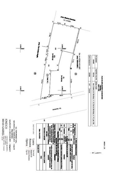 Casa mare si curte in centrul Craiovei - 6