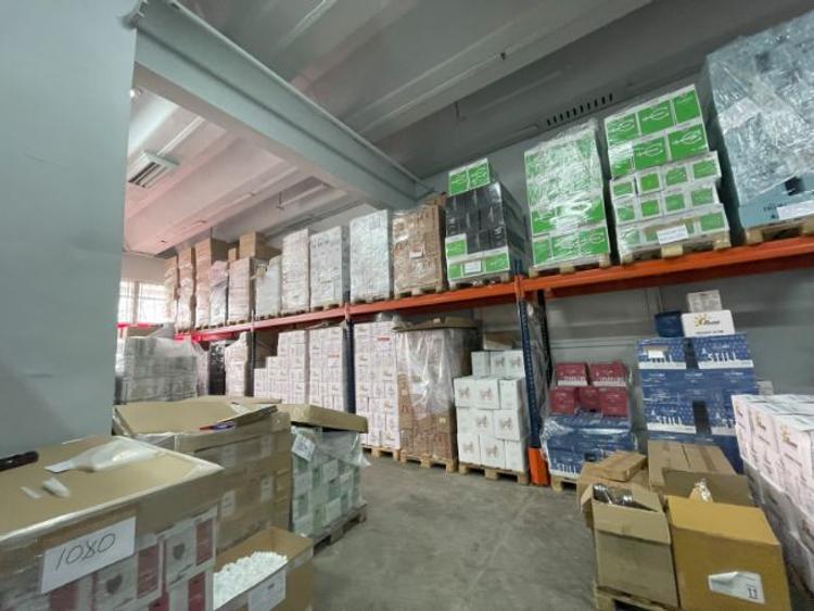 Theodor Pallady, spatiu 500mp - 1