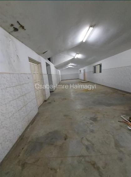 Hala de 800 mp cu teren de 1600 mp in Ineu de Cris Bihor.