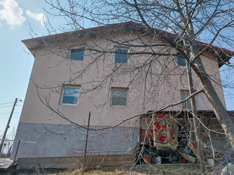 Casa individuala 180 mp zona Viticultori - 2