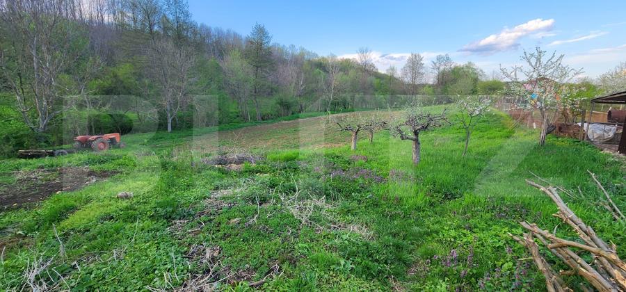 Teren 6650 mp, cu casa nefinalizata de 111 mp, in Nisipoasa. - 11