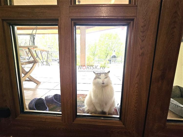 Lake House Dobroesti - Oaza ta de liniște și confort - 17