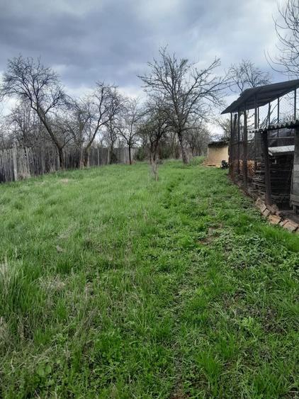 Teren de vanzare in Vaidei - 6