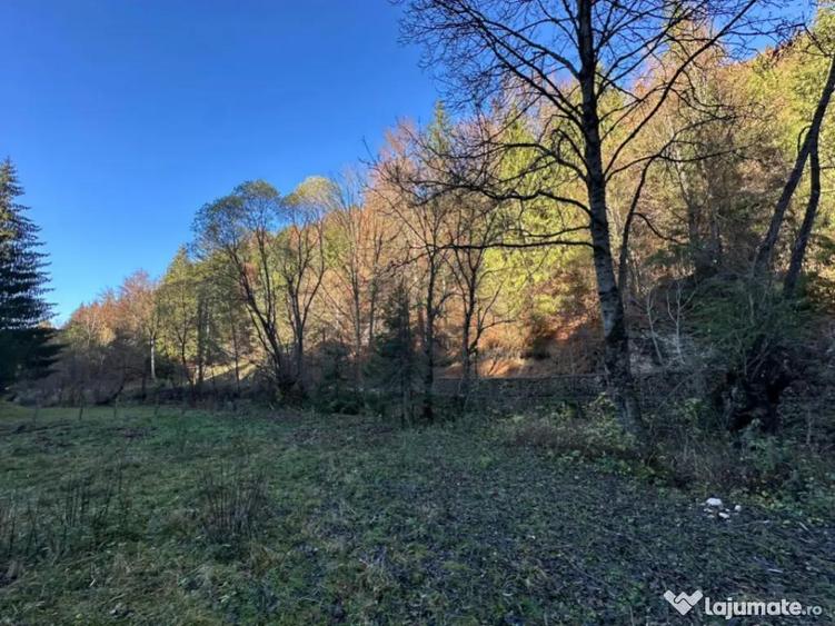 Teren 2.882 mp oportunitate investitie - Cheile Dambovi - 6