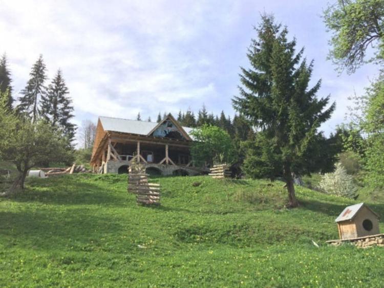 Casa/gospodarie + teren 5.7 ha intravilan Brodina, jud. Suceava - 4