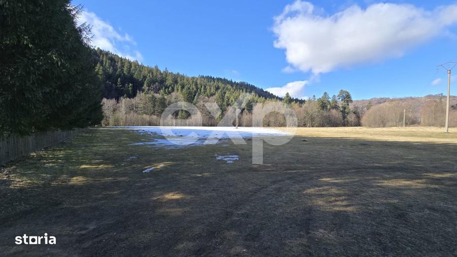 Teren extravilan 19.200 mp DN1A Sacele, Bradet | Front stradal 130 - 4