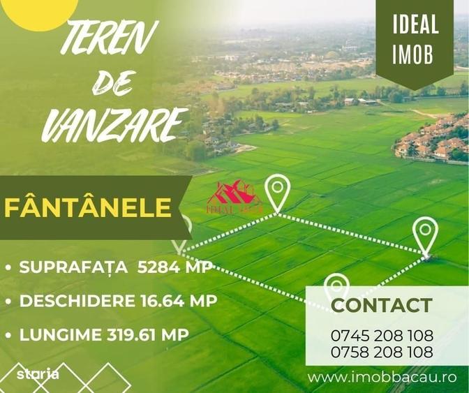 Spațiu comercial, în Fântânele