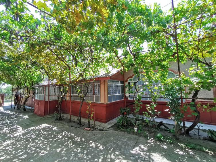 VAND casa pe sos. PRINCIPALA cu teren de 4.365m in com, Vidra Ilfov - 5