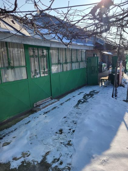 VANZARE CASA/TEREN BATRANEASCA TANCABESTI - 3