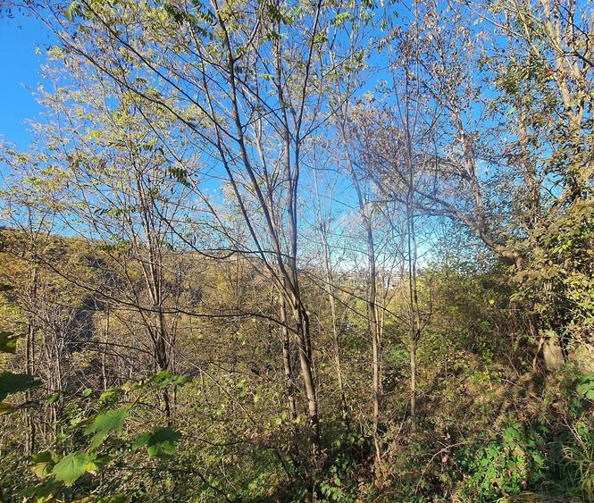 Teren Brasov – str. Podul lui Grid  zona de case - 5